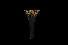 Load image into Gallery viewer, Tsugaru Shamisen Set for Beginners 【Limited time price】
